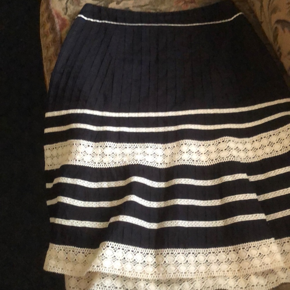 Ann Taylor Skirt